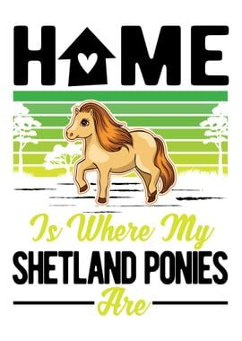 Shetland Pony Shetty