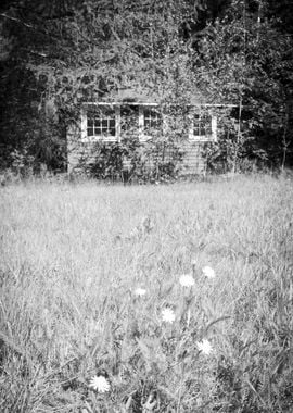 Abandoned cabin