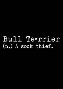 Bull Terrier A Sock Thief