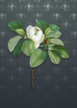 Vintage Magnolia Elegans