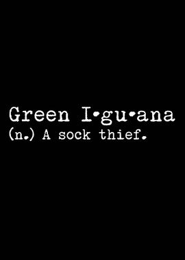 Iguana A Sock Thief 