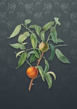 Peach on Slate Gray