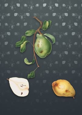 Vintage Pear on Slate Gray