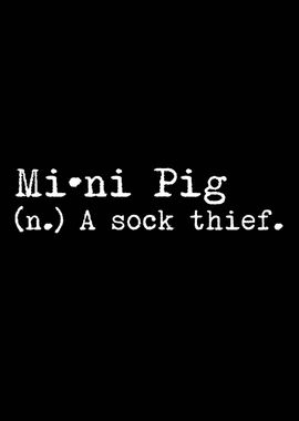 Mini Pig A Sock Thief 