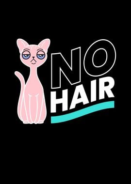 No Hair Sphynx Cat