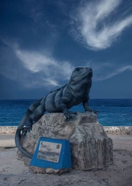 Cool iguana at night