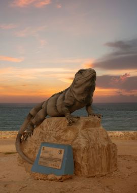 Cool iguana at sunrise