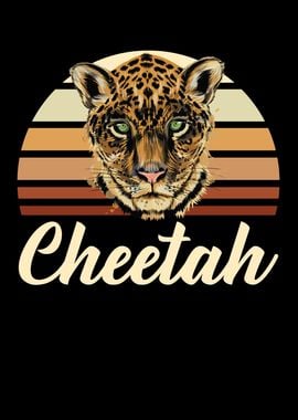 Cheetah Wildlife Animal