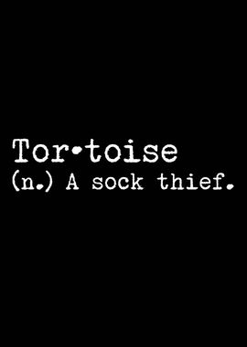 Tortoise A Sock Thief 