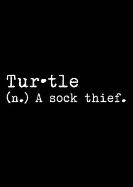 Turtle A Sock Thief 