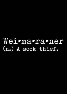 Weimaraner A Sock Thief 