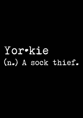 Yorkie Dog A Sock Thief