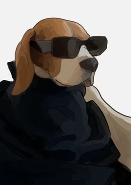 cool dog