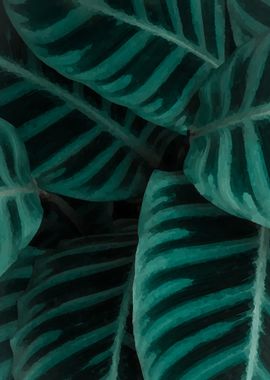 plant leaf monstera