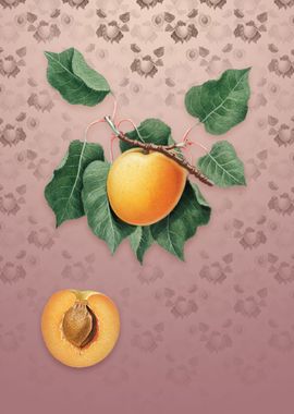 Vintage German Apricot