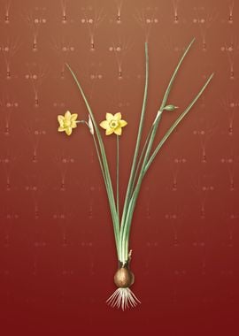 Daffodil on Falu Red