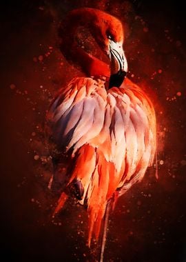 Flamingo Bird