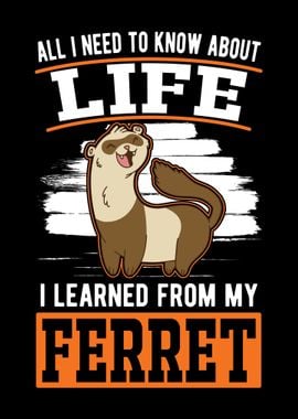 Ferret Saying