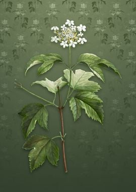 Vintage Guelder Rose