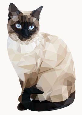 Polygon Cat Animal