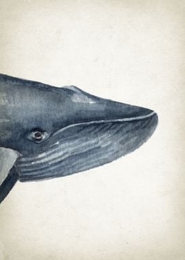 Blue Whale Art Part 1