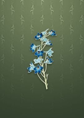 Shewy Delphinium Flower