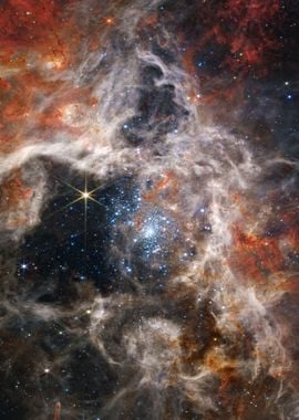 Tarantula Nebula JWST