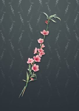 Vintage Peach Blossoms