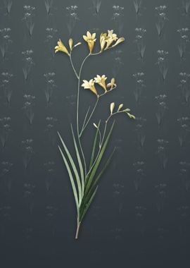 Freesia on Slate Gray