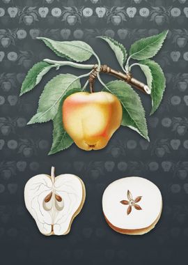 Vintage Carla Apple