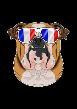 English Bulldog France