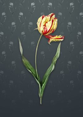 Vintage Didiers Tulip