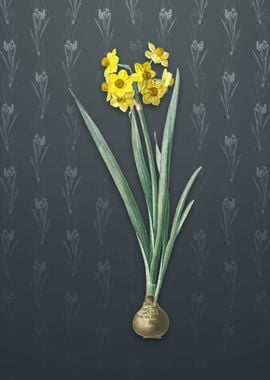 Daffodil on Slate Gray