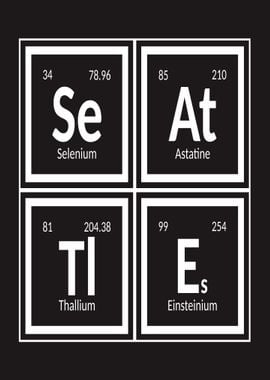 Elements of Seattle City