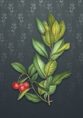 Vintage Strawberry Tree