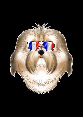 Havanese France Sunglasses