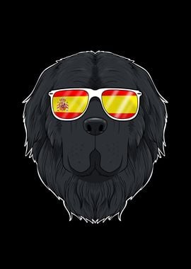 Newfoundland I Spain