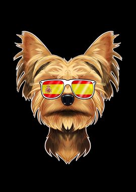 Yorkshire Terrier I Spain