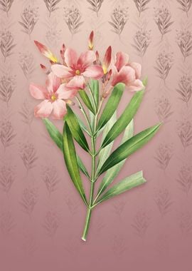 Oleander on Dusty Pink