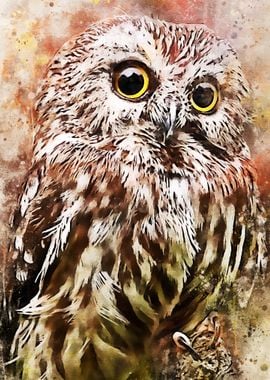 Owl Watercolor