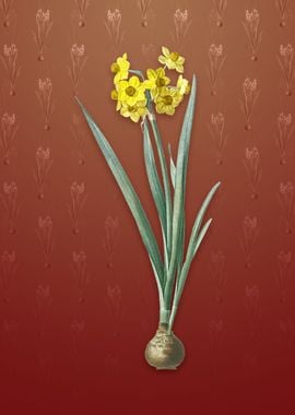 Daffodil on Falu Red