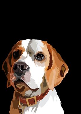 Basset hound dog in vector