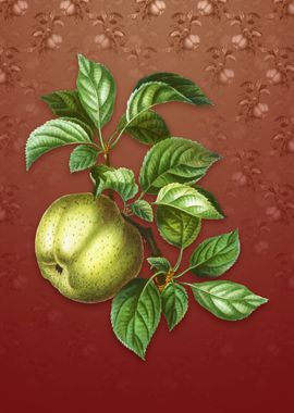 Vintage Apple on Falu Red