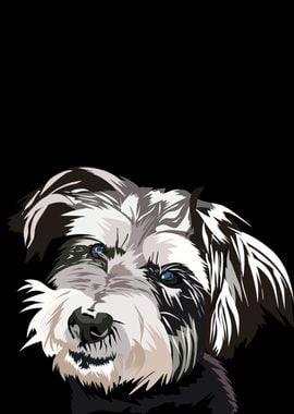 Schnauzer dog in vector