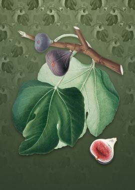 Black Fig on Lunar Green