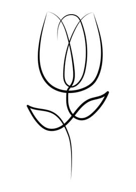 Tulip