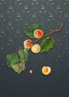 Peach on Slate Gray