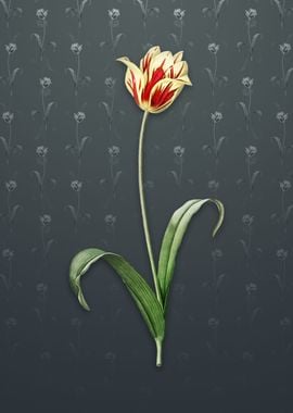 Vintage Didiers Tulip