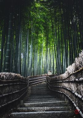 Arashiyama Bamboo Grove