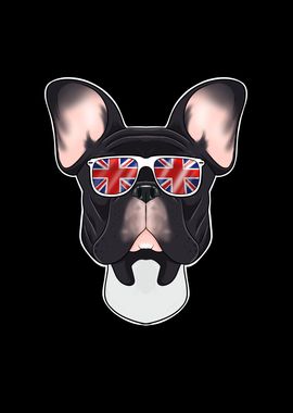 French Bulldog UK Frenchie